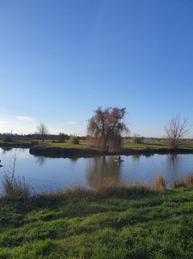 La Ferme Du Puits Carre Bed & Breakfast Lamasquere Luaran gambar
